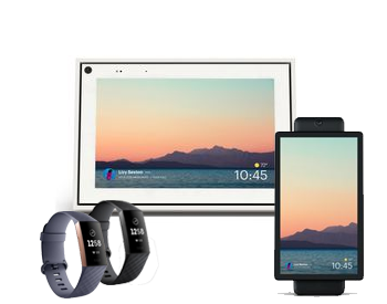 Fitbit/Facebook Portal