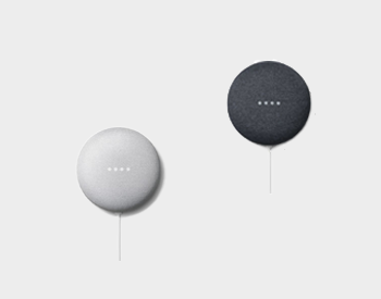 Google Smart Speakers